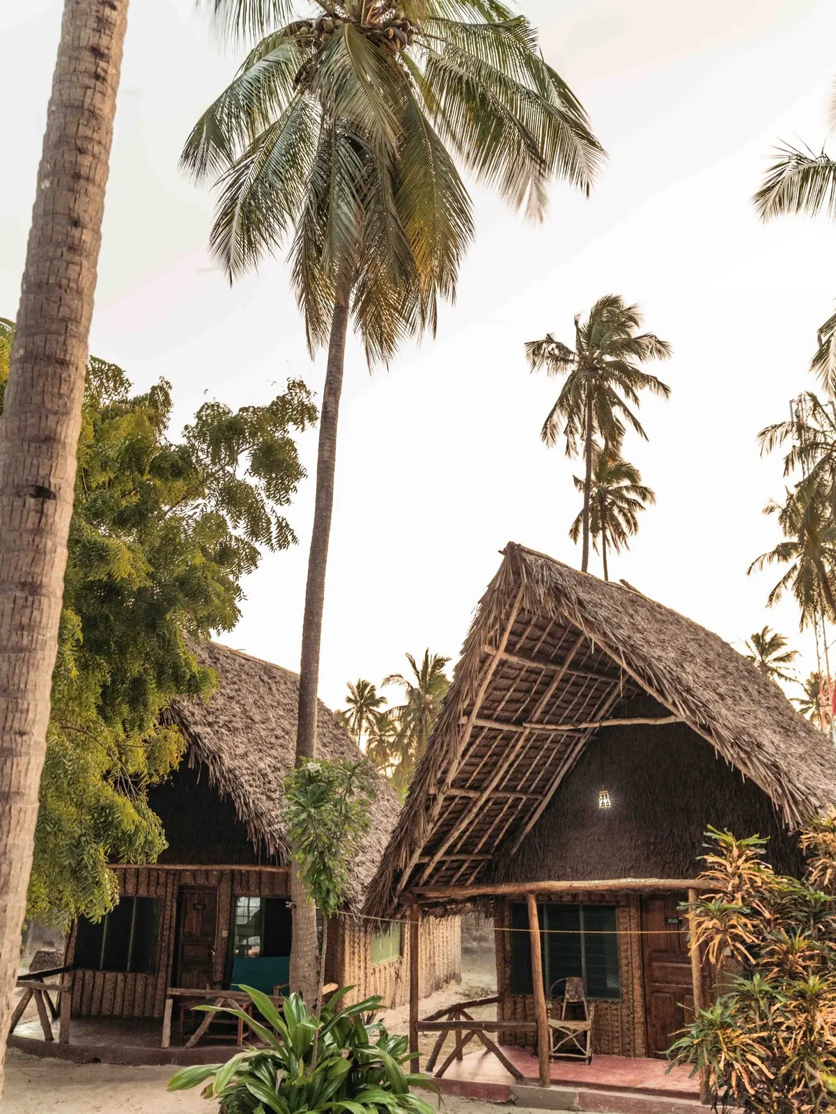 Thatched bungalows among palm trees